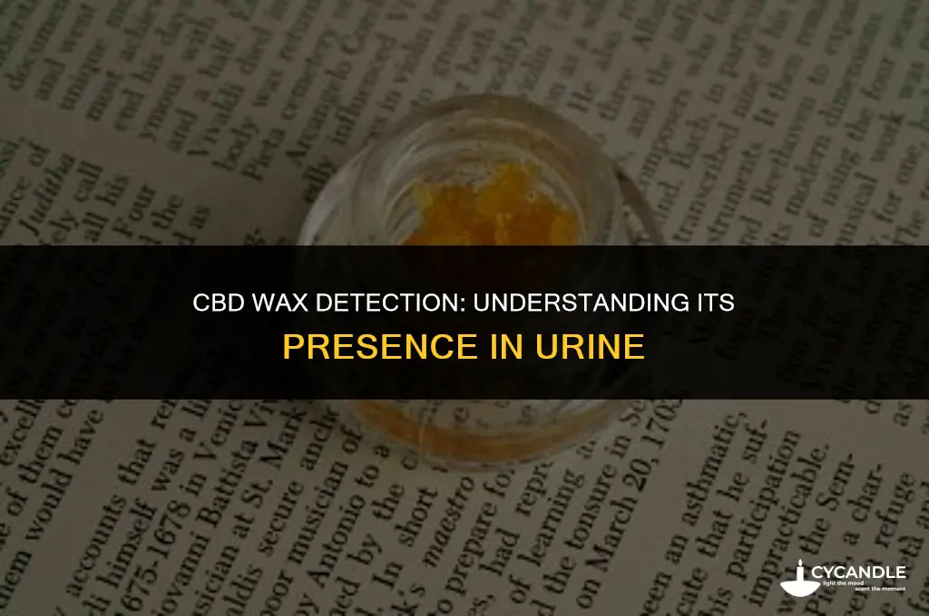 how long does cbd wax stay in your urine