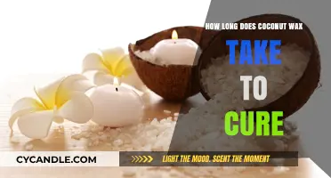 The Ultimate Guide to Coconut Wax Curing Time