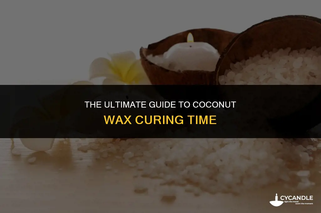how long does coconut wax take to cure