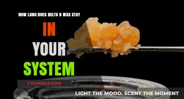 Exploring the Duration of Delta-8 Wax in Your System