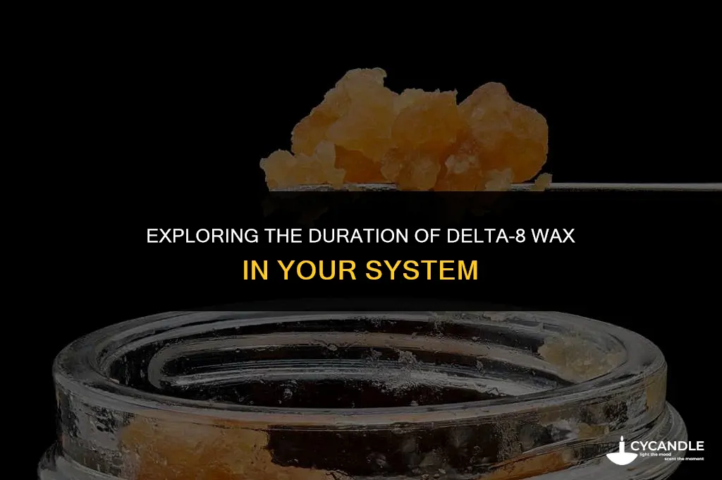 how long does delta 8 wax stay in your system