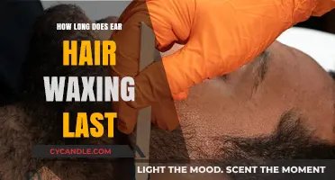 The Duration of Ear Hair Waxing: A Comprehensive Guide