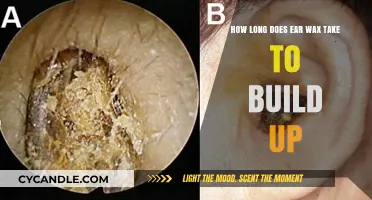 Understanding Ear Wax Buildup: A Comprehensive Guide