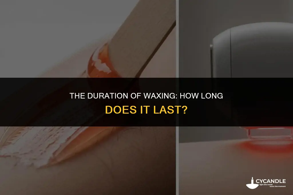 how long does getting waxed last