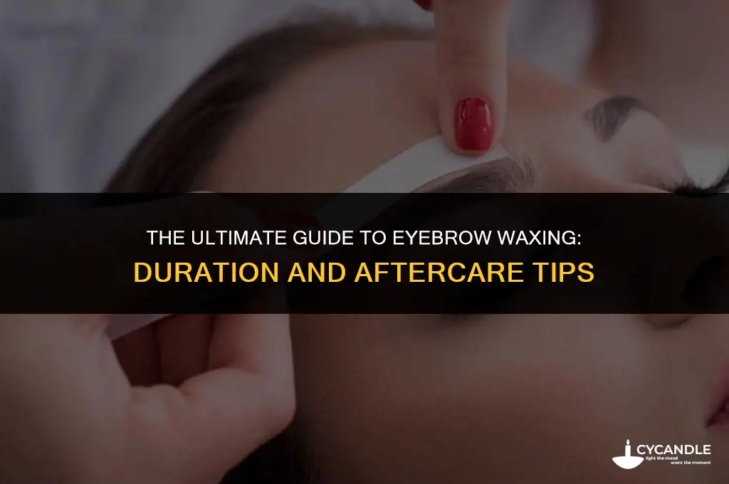 how long does getting your eyebrows waxed last