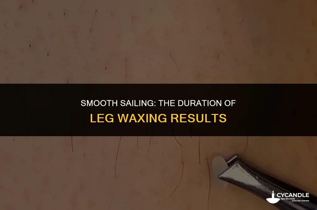 how long does getting your legs waxed last