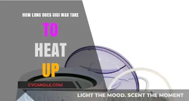 Quick Guide: Heating Up Gigi Wax for Optimal Hair Removal