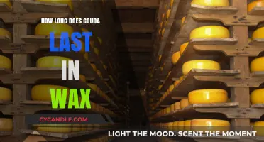 The Shelf Life of Gouda: How Long Does It Last in Wax?