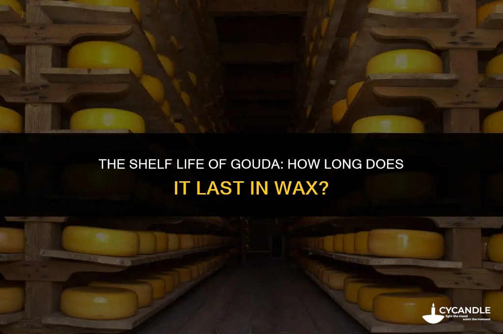 how long does gouda last in wax