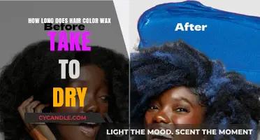 Quick Tips: Hair Color Wax Drying Time Explained
