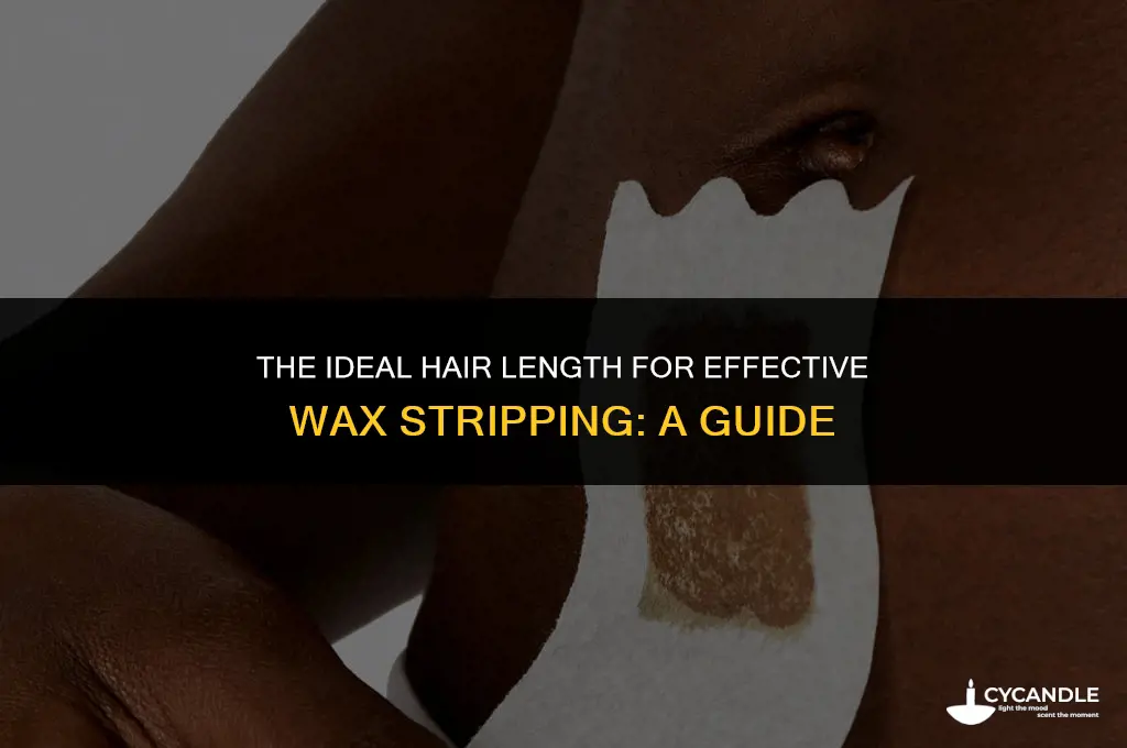 how long does hair have to be for wax strips
