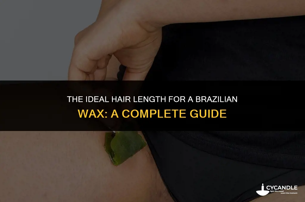 how long does hair have to be to wax brazilian