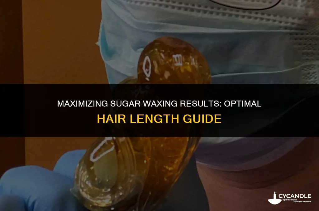 how long does hair need to be sugar waxing last