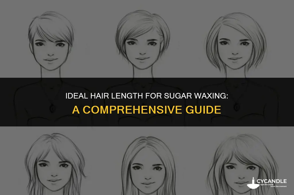 how long does hair need to be to sugar wax