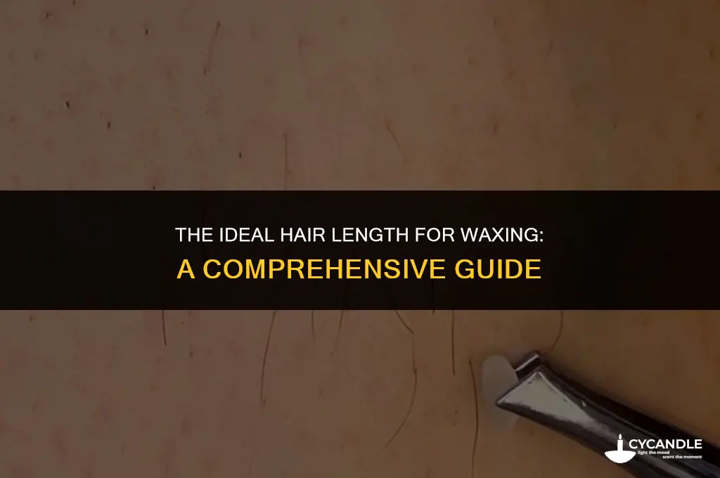 how long does haor have to be to be waxed
