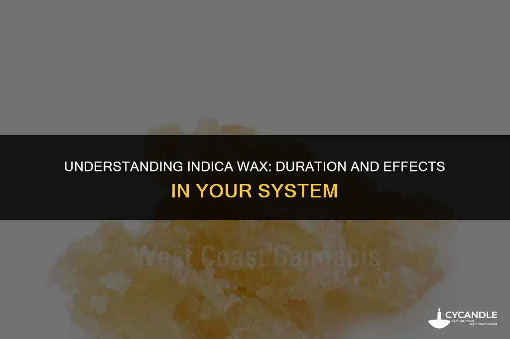 how long does indica wax stay in your system