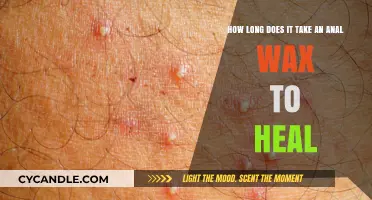 Understanding the Healing Time for Anal Waxing Procedures