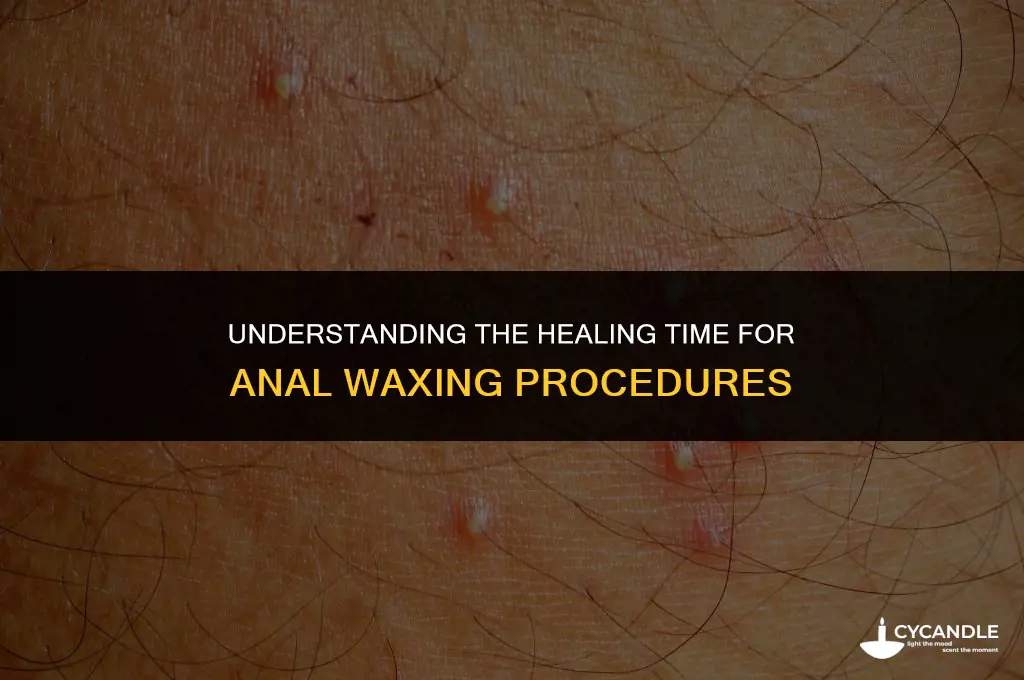 how long does it take an anal wax to heal