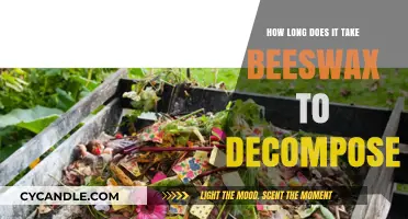 Beeswax Decomposition Timeline: How Long Does It Take to Break Down?