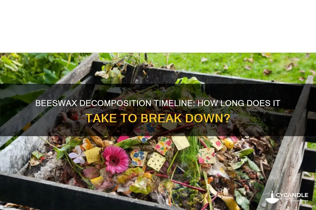 how long does it take beeswax to decompose