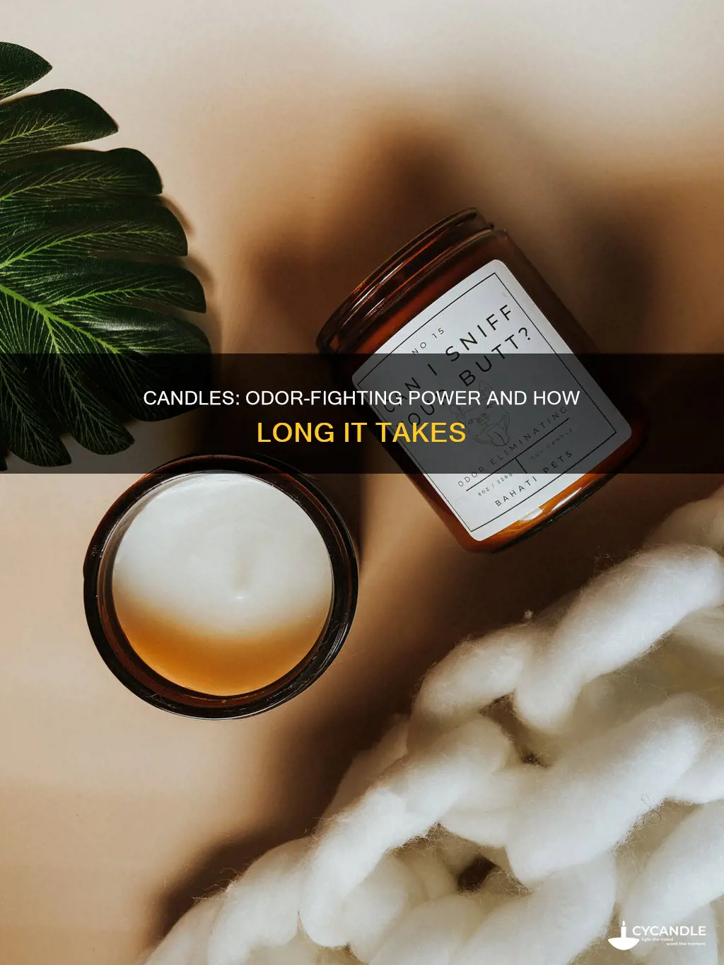 how long does it take candles too kill odor