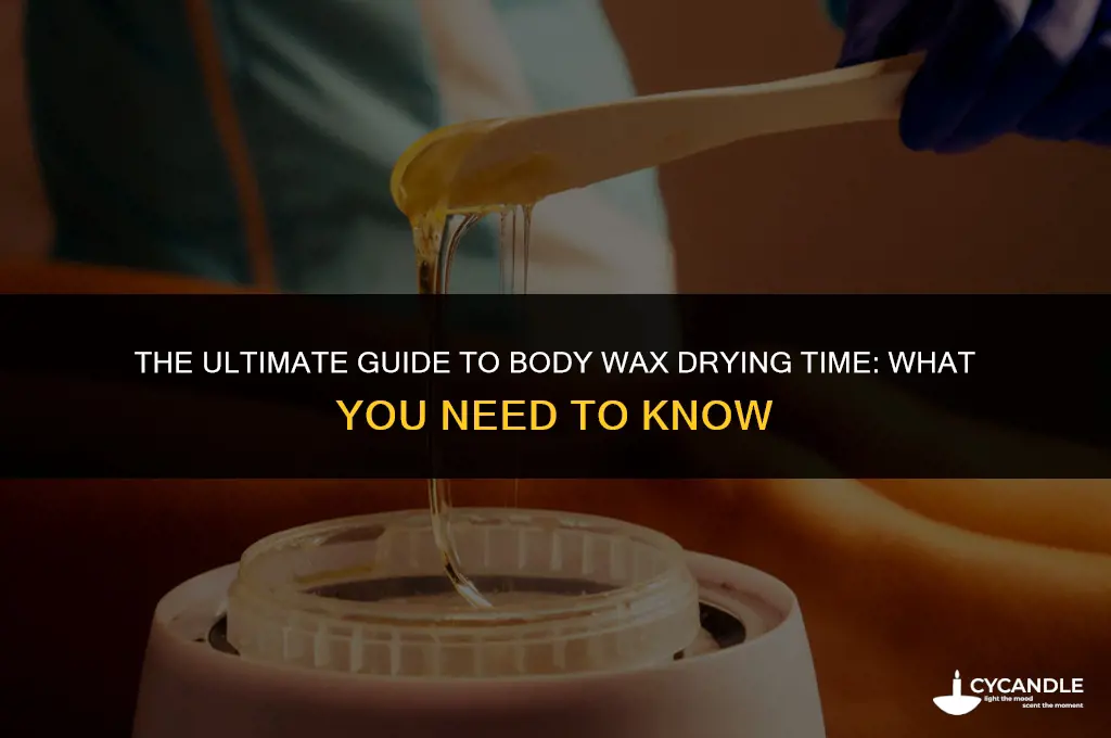 how long does it take for body wax to dry