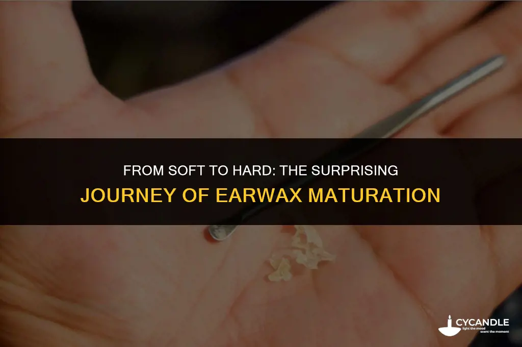how long does it take for ear wax to harden