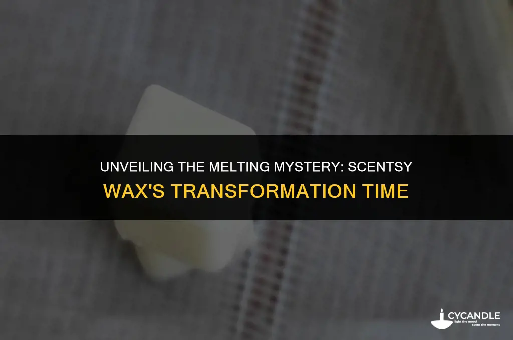 how long does it take for scentsy wax to melt
