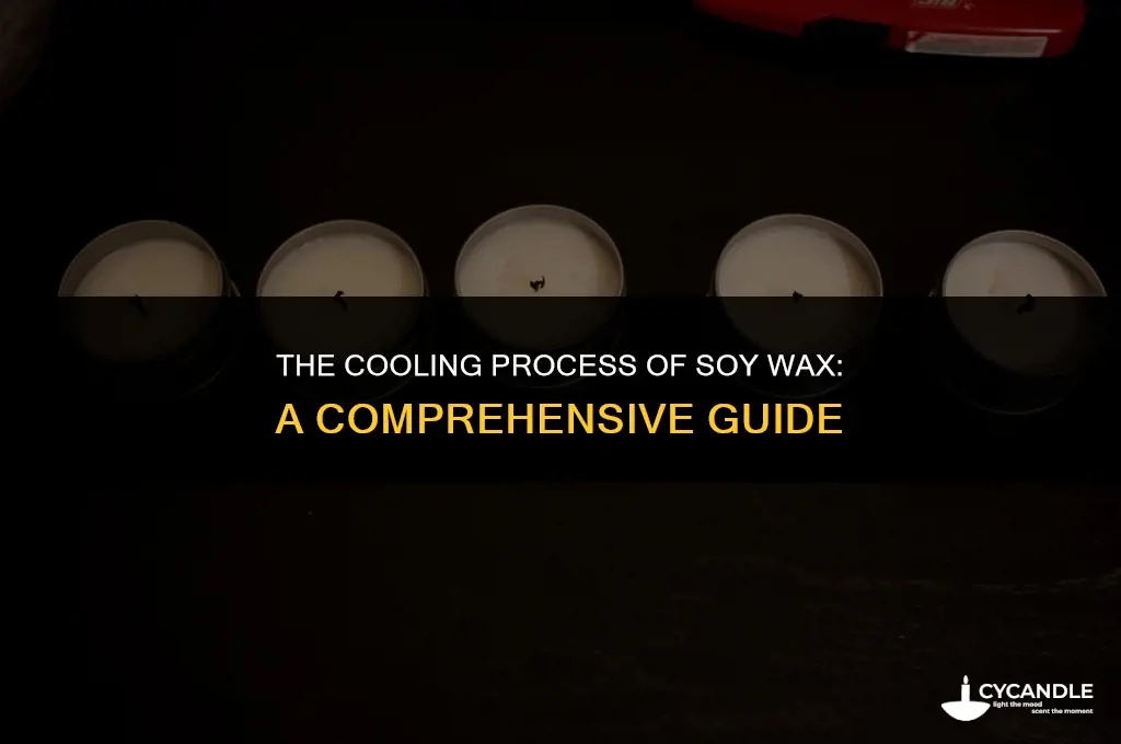 how long does it take for soy wax to cool