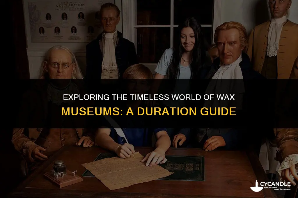 how long does it take for the wax musuem