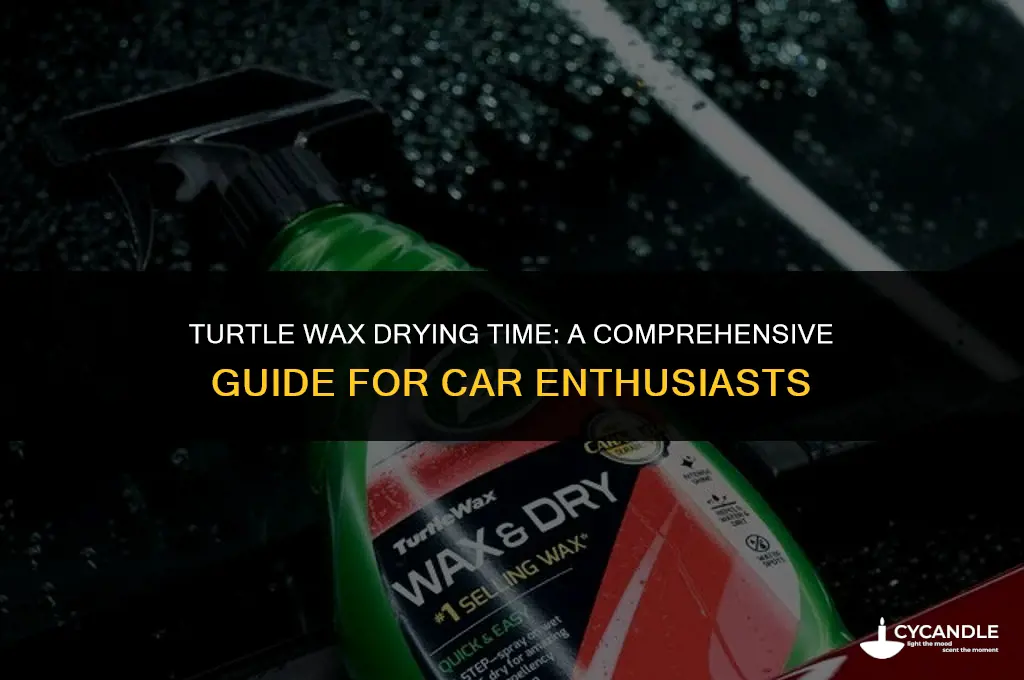 how long does it take for turtle wax to dry