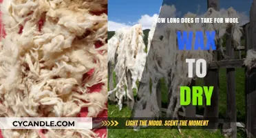 Drying Time of Wool Wax: A Comprehensive Guide