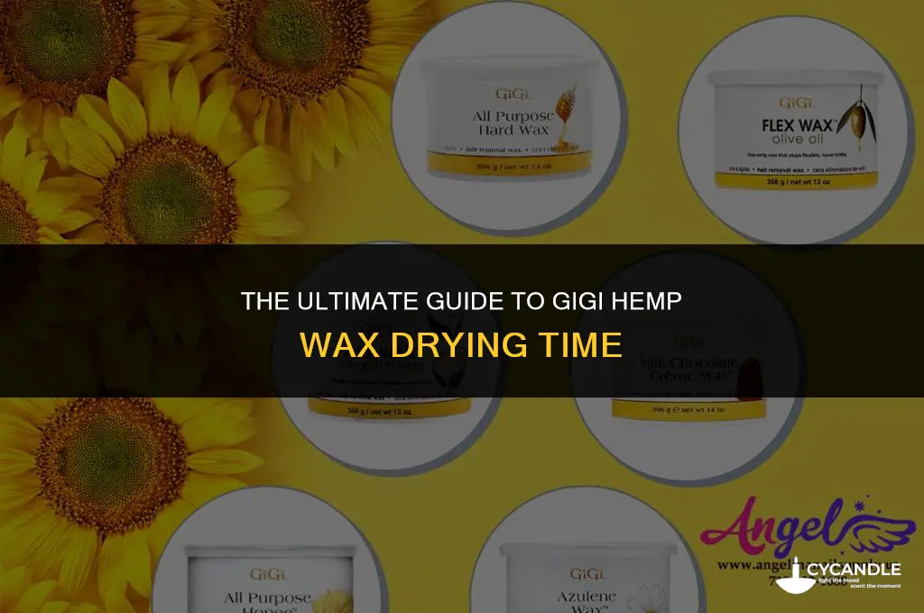 how long does it take gigi hemp wax to dry