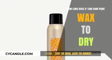 Drying Time of Hair Paint Wax: A Comprehensive Guide
