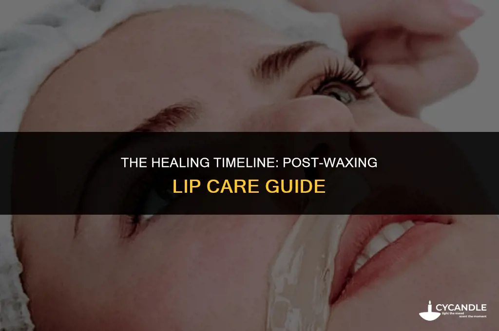how long does it take lip to heal after waxing