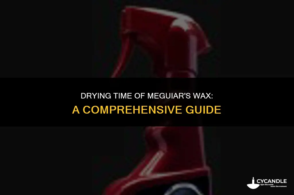 how long does it take meguiars wax to dry