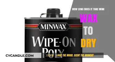 Mini Wax Drying Time: A Comprehensive Guide for Artists