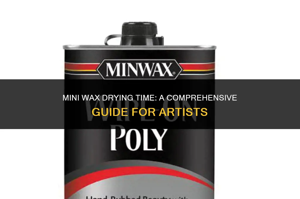 how long does it take mini wax to dry