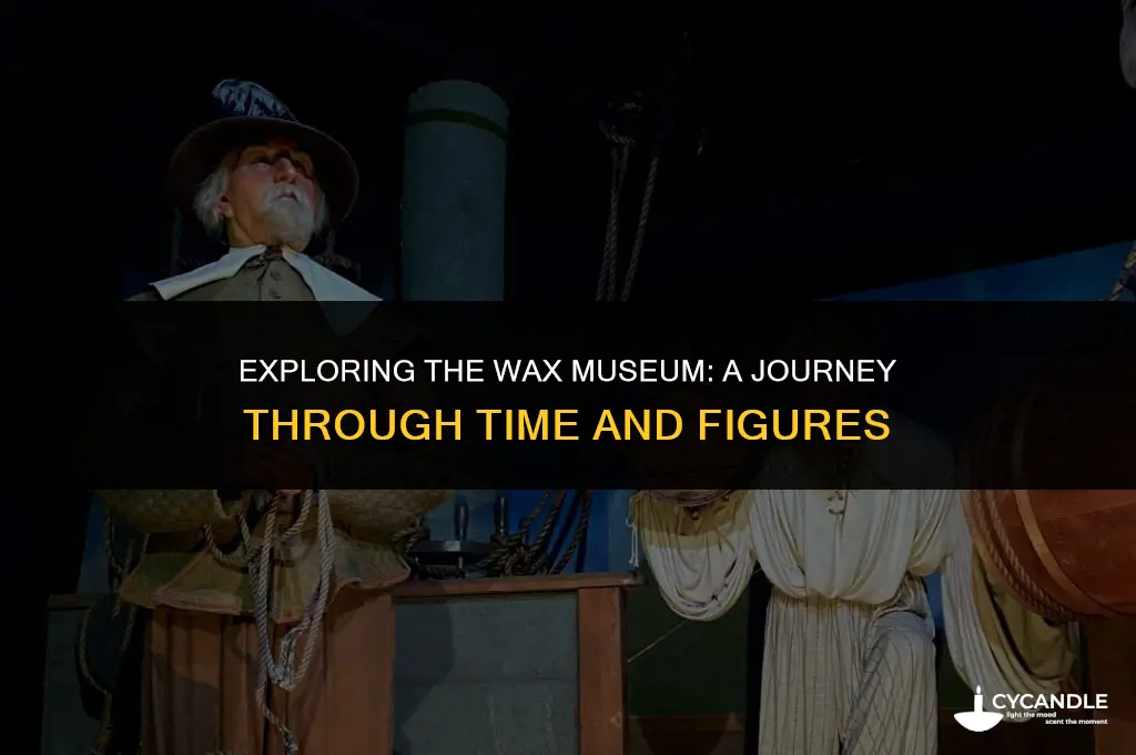 how long does it take to do the wax museum