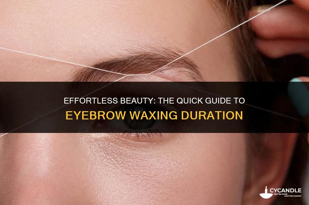 how long does it take to get eyebrows waxed