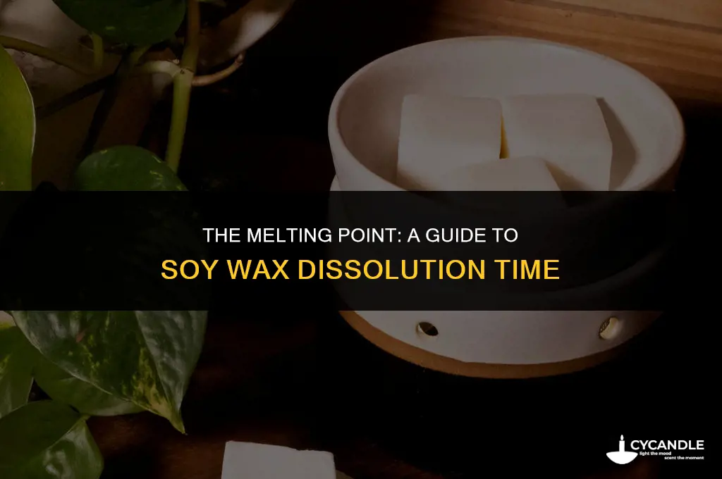 how long does it take to melt soy wax