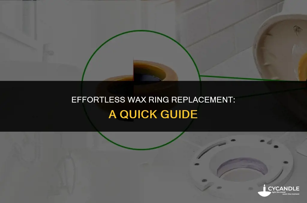 how long does it take to replace a wax ring