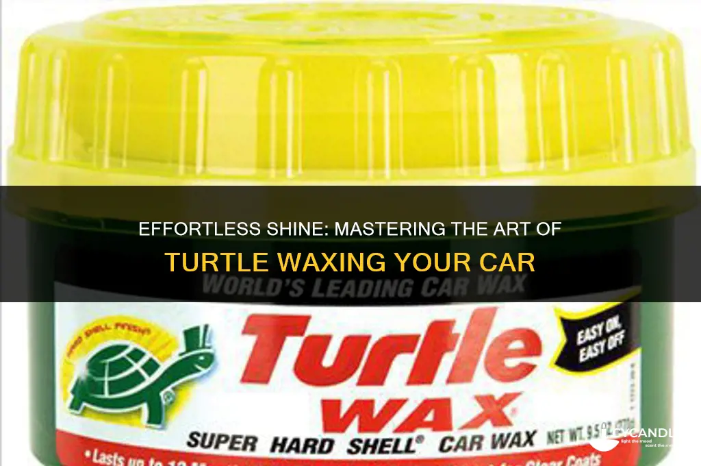 how long does it take to turtle wax a car
