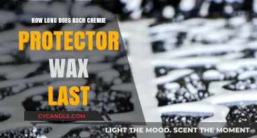 Durability Unveiled: Koch Chemie Protector Wax's Longevity Explored