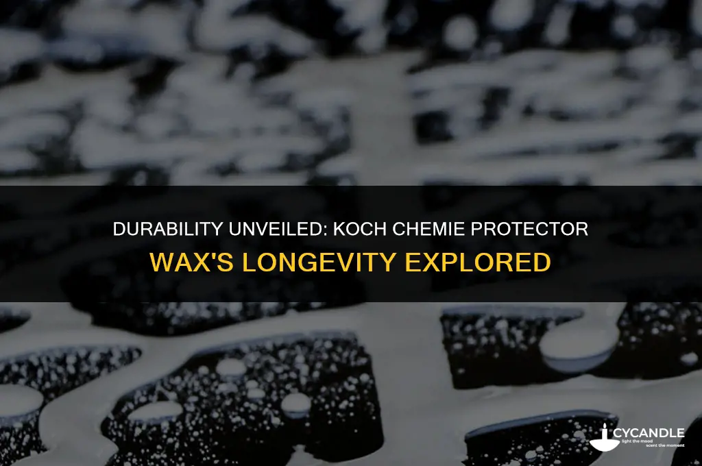 how long does koch chemie protector wax last