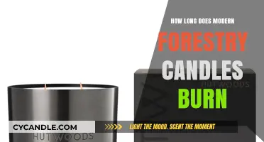 Modern Forestry Candles Burn Time: A Comprehensive Guide to Longevity