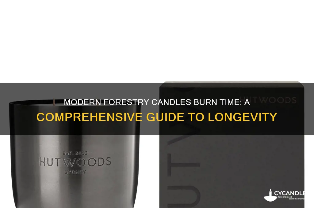 how long does modern forestry candles burn