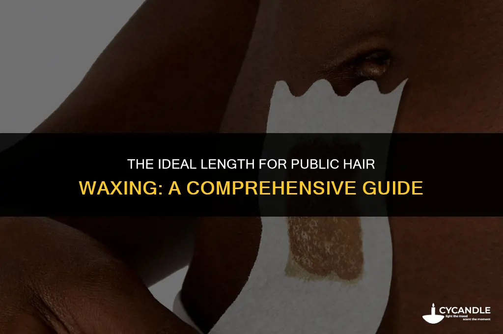 how long does public hair need to be get waxes