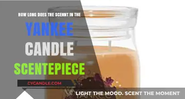 How Long Does Yankee Candle ScentPiece Fragrance Last?
