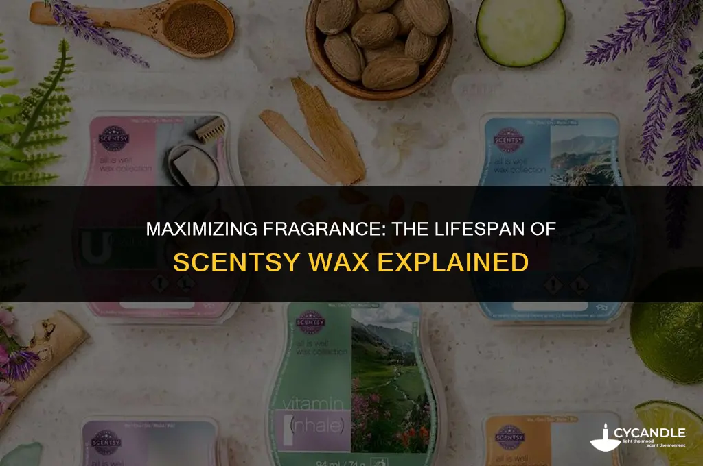 how long does the scentsy wax last